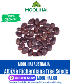 Albizia Richardiana Tree Seeds / Hatiamiuki / Uchilamaram