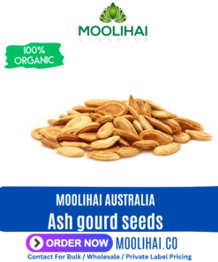 Ash gourd seeds