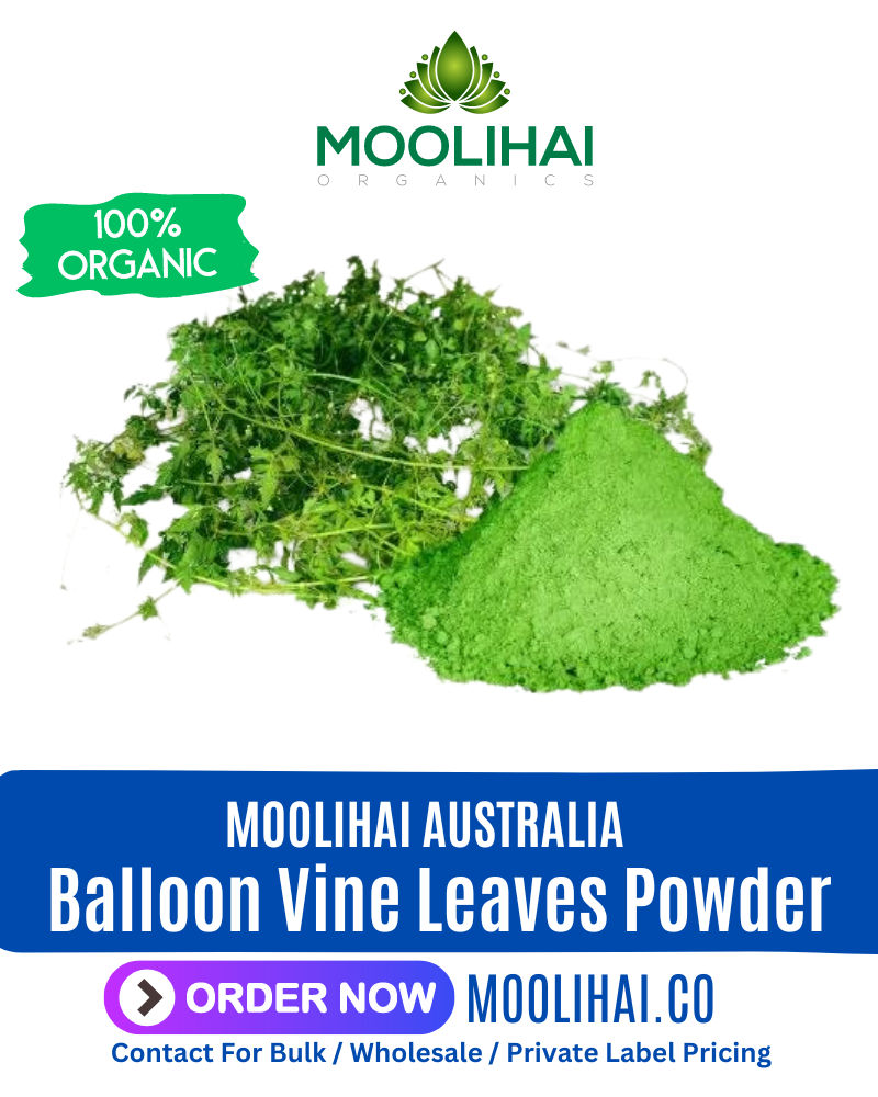 Balloon Vine Leaves Powder | Cardiospermum Halicacabum | Mudakathan Powder | Kapalphod