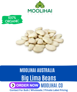 Big Lima Beans / Gundu Mochai