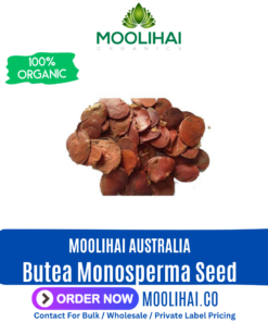 Butea Monosperma Seed