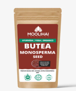 Alternative view of Butea Monosperma Seed