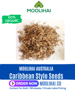 Caribbean Stylo Seeds (Stylosanthes Hamata)