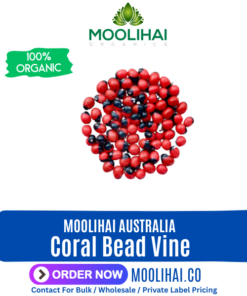 Coral Bead Vine | Rosary Pea |  Abrus precatorius | Karuppu Sivappu Gundumani