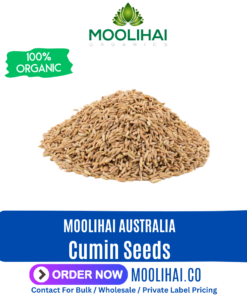 Cumin Seeds / Jeera