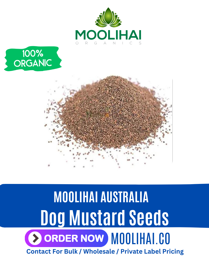 Dog Mustard Seeds | Traduzione Automatica | Prickly poppy