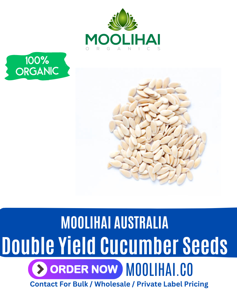 Organic Double Yield Cucumber Seeds