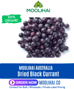 Dried Black Currant