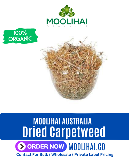 Dried Carpetweed | Raw Parpadaga Pul | Mollugo verticillata