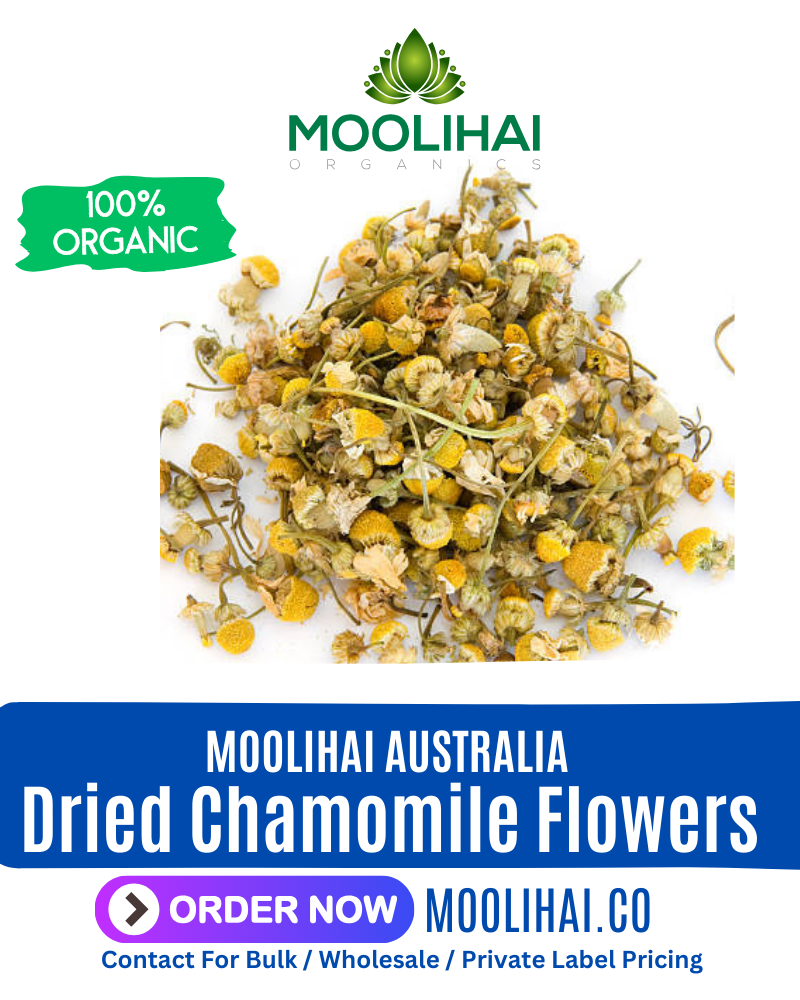 Dried Chamomile Flowers | Matricaria Chamomilla | Ceemaicamanti