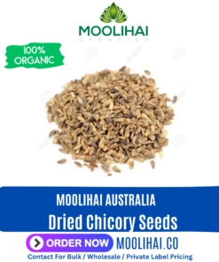 Dried Chicory Seeds / Kasini Vithai