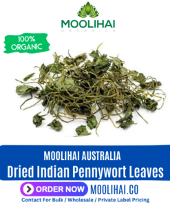 Dried Indian Pennywort Leaves | Centella Asiatica | Gotu Kola / Thimmare | Deva Centella Asiatica