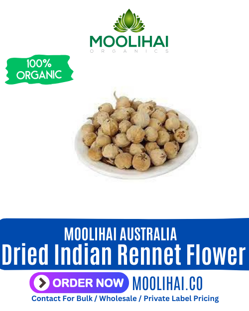 Dried Indian Rennet Flower | Panneer Poo | Paneer Dodi | Withania coagulans-100gm