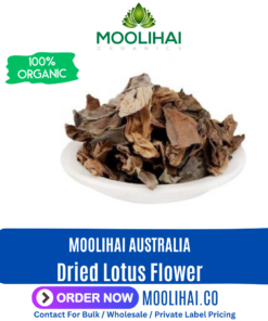 Dried Lotus Flower