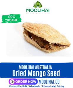 Dried Mango Seed (Mangifera / Mamparupu) | Mango Seed Kernel | Aam Guthali | Mangifera Indica
