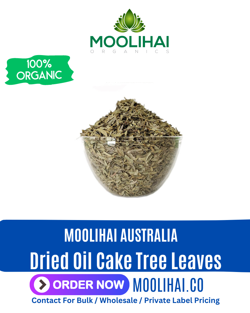 Dried Oil Cake Tree Leaves / Arapu Ilai