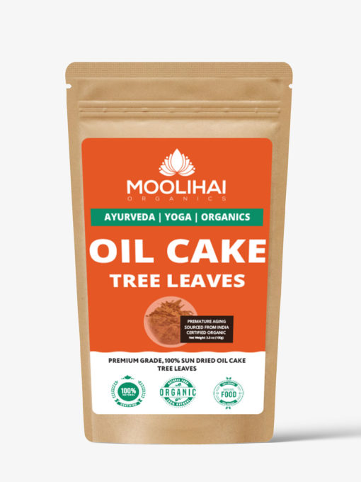 Dried Oil Cake Tree Leaves / Arapu Ilai - Image 2