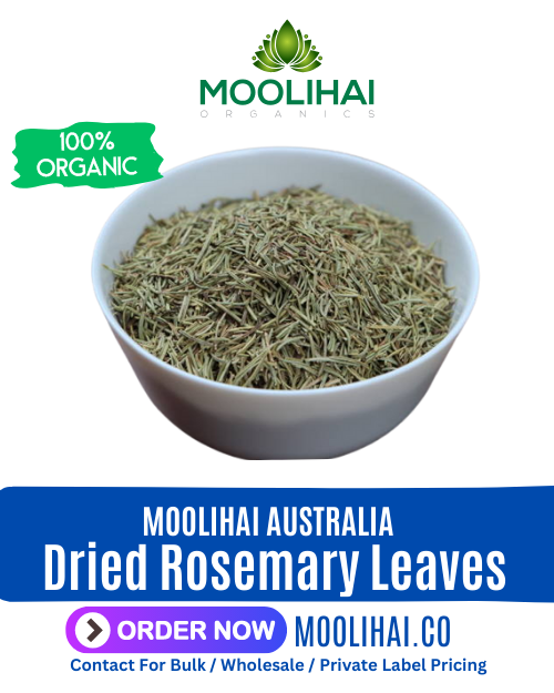 Dried Rosemary Leaves | Salvia Rosmarinus | Rosemary twigs | Gulmehendi | Rosmarinus officinalis