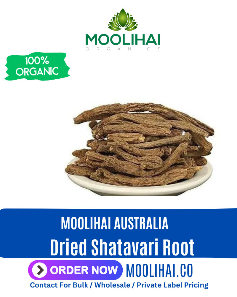 Dried Shatavari Root