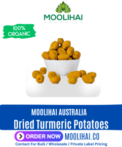 Dried Turmeric Potatoes | Yellow Zeodary | Manjal Kizhangu | Curcuma aromatica | Haldi