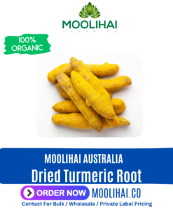 Dried Turmeric Root | Curcuma longa | Curcuma Aromatica | Indian Saffron