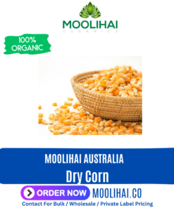 Dry Corn / Maize