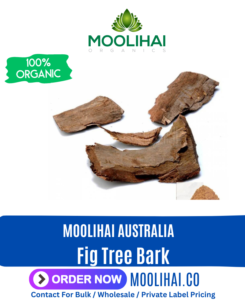 Fig Tree Bark / Ficus racemosa