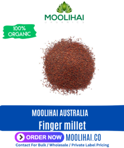 Finger millet / Ragi