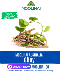 Giloy | Guduchi | Seenthil Kodi | Tinospora cordifolia