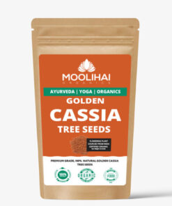 Alternative view of Golden Cassia Tree Seeds (Cassia Fistula)