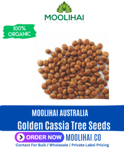Golden Cassia Tree Seeds (Cassia Fistula)
