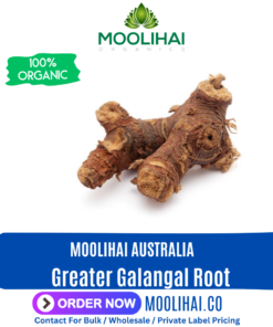 Greater Galangal Root
