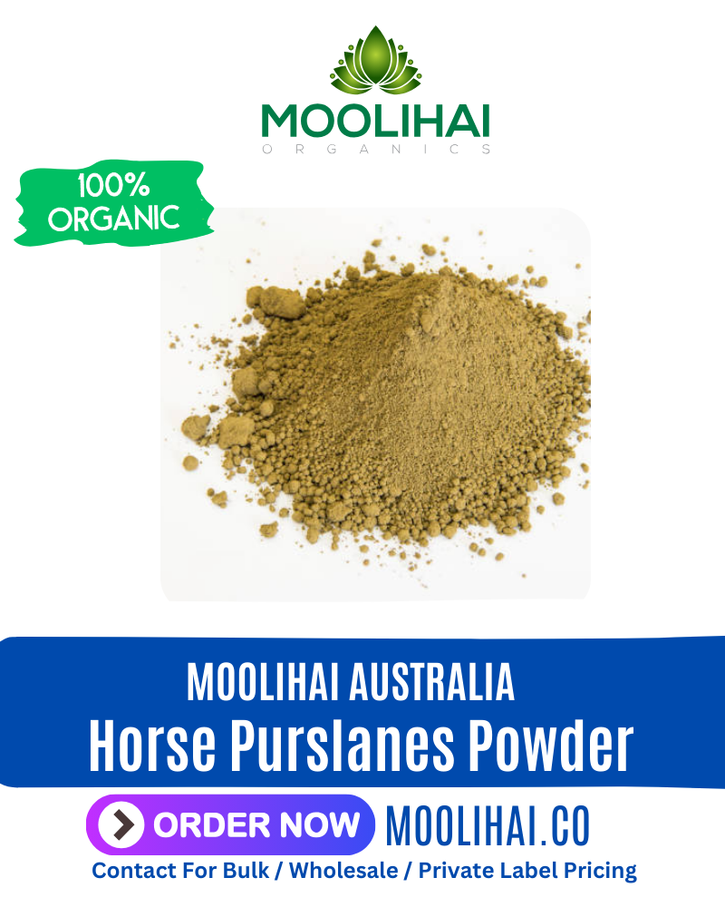 Punarnava Root /Saranai Ver Powder / Horse Purslane Root Powder