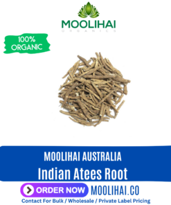 Indian Atees Root  / Athividayam Ver