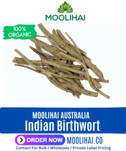 Indian Birthwort (Ishwara Beru) | Duck flower | Ishwarmool | Eeswamooli | Isvari |  Aristolochia indica