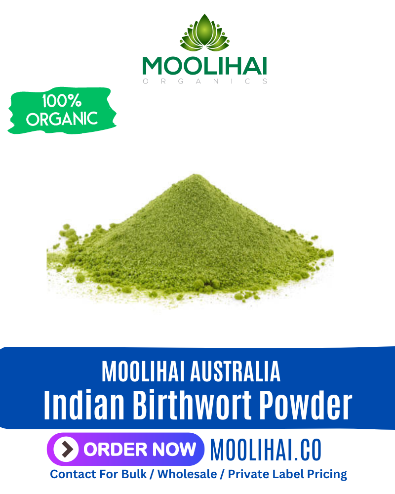 Aristolochia Bracteata | Indian Birthwort Powder | Aadu Thinna Paalai Powder