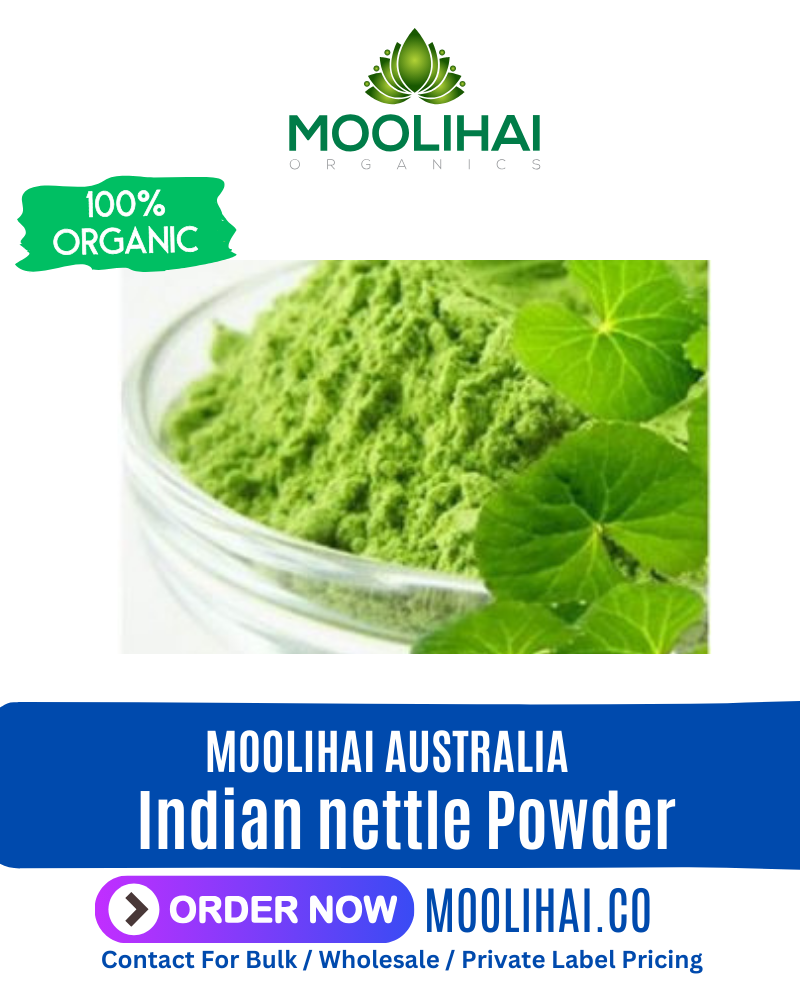 Acalypha indica | Indian nettle Powder | Puchamayakki | Biralhanchi/Biralkanduni