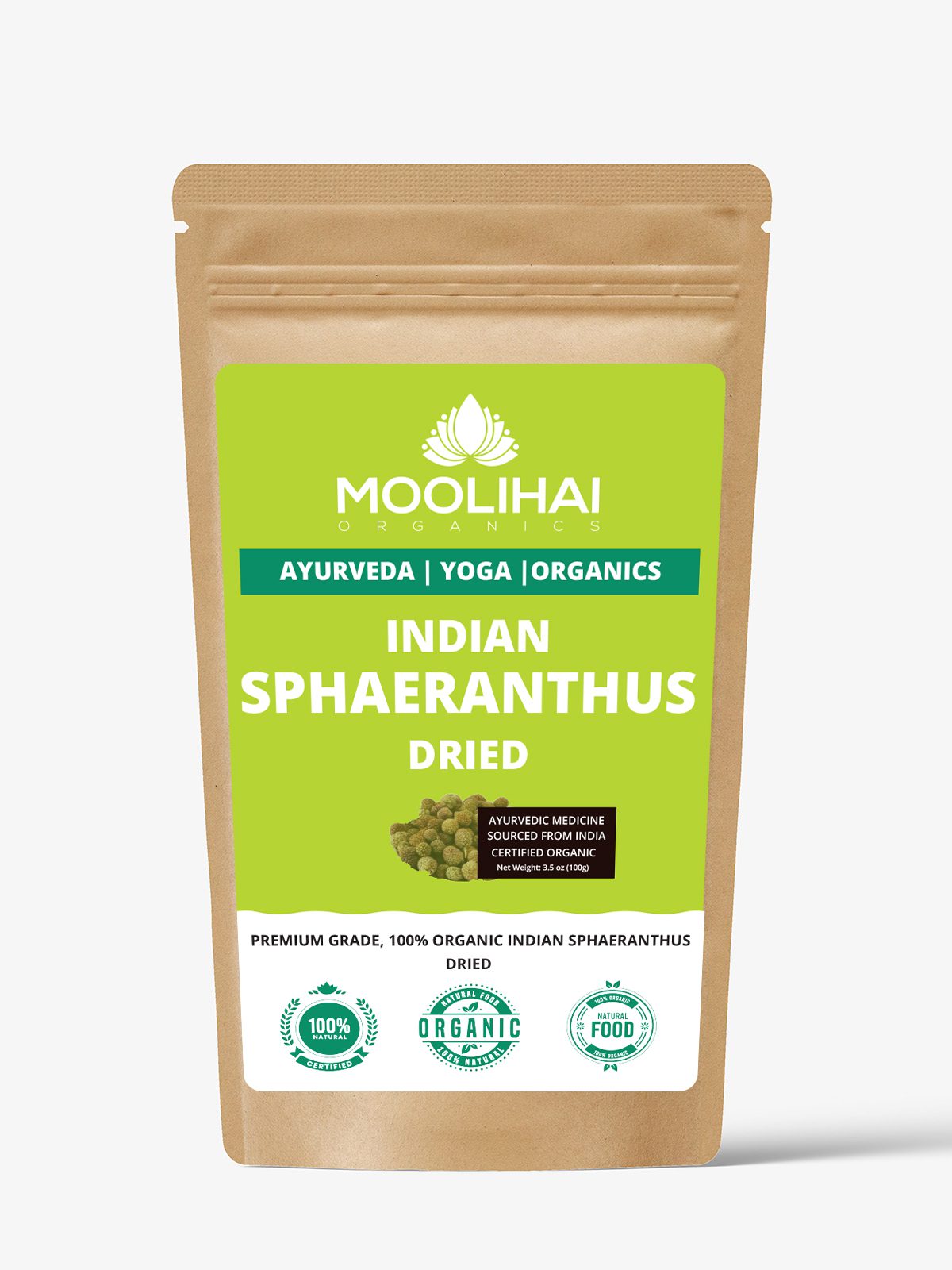 Indian sphaeranthus Dried | Sphaeranthus indicus | Kottai karantai - Image 2