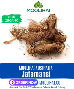 Spikenard | Jatamansi musk root | Balchad | Nardostachys Jatamansi | Nard Indian root | Nardin | Muskroot | Jatamansi Spikenard root