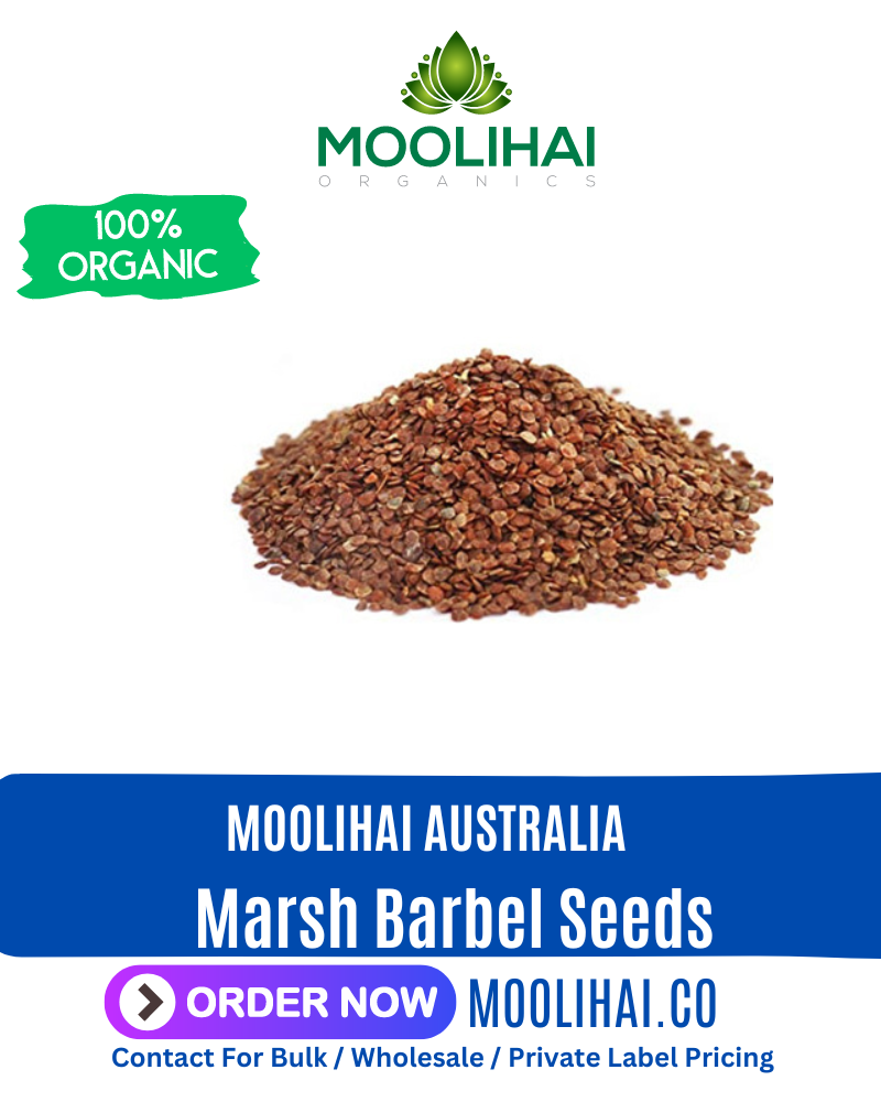 Marsh Barbel Seeds / Neermulli Vithai