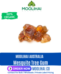 Mesquite Tree Gum / Karuvelam Pisin