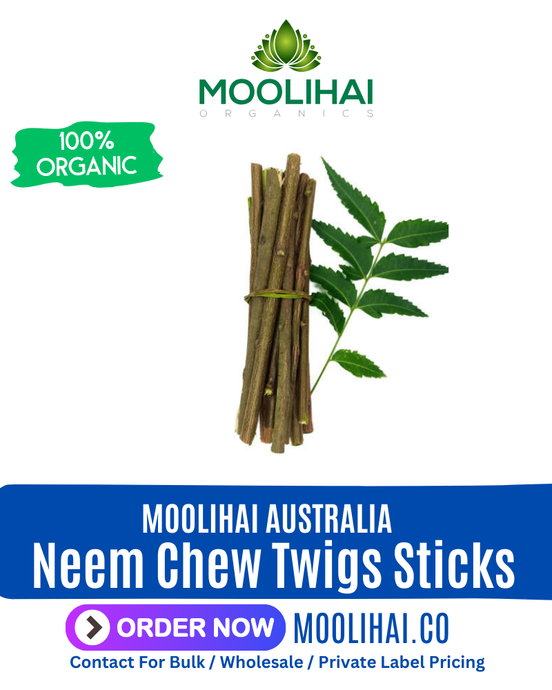 Organic Neem Chew Twigs Sticks