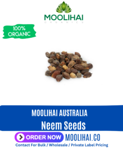 Neem Seeds