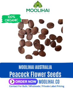 Peacock Flower Seeds