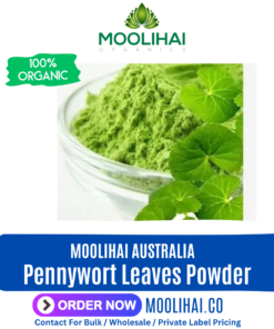 Pennywort Leaves Powder