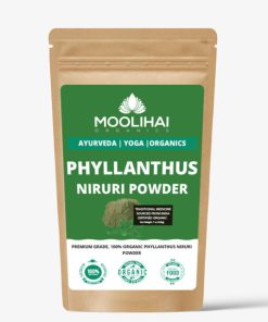 Alternative view of Phyllanthus Niruri Powder