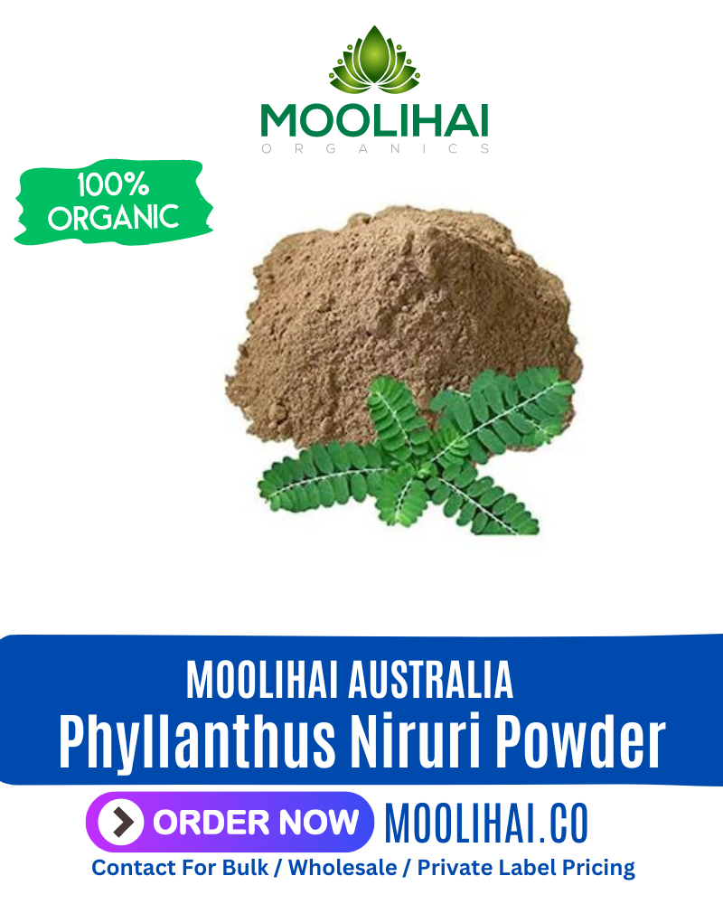 Phyllanthus Niruri Powder