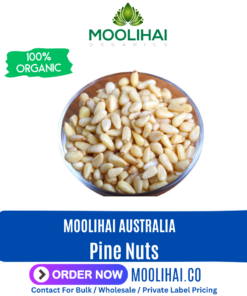 Pine Nuts / Pignolias