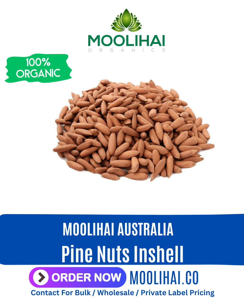 Pine Nuts Inshell