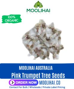Pink Trumpet Tree Seeds (Tabebuia Rosea)